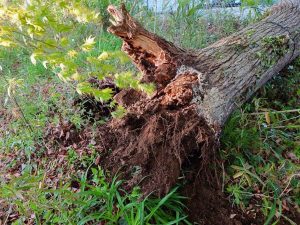 SOSを聴かせてほしい